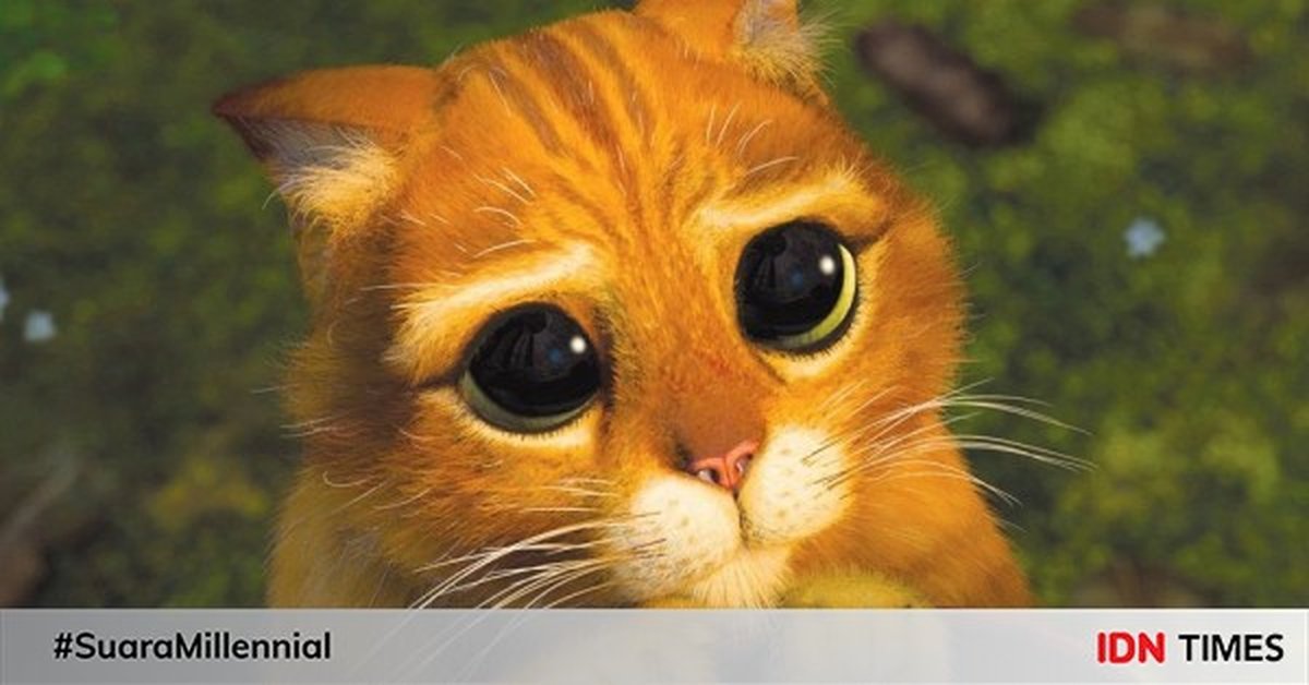 5 Film Animasi Bertema Kucing Ini Wajib Kamu Tonton Kurio