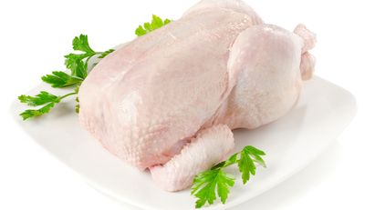 Kiat Memilih Daging Ayam Segar
