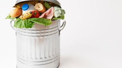 Cara Menghilangkan Kebiasaan Membuang Bahan Makanan Dari Kulkas 