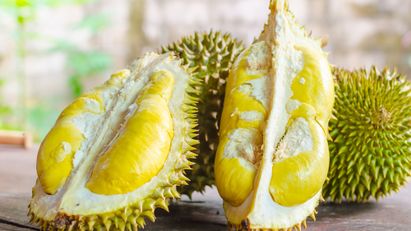 3 Jenis Durian Paling Populer di Indonesia