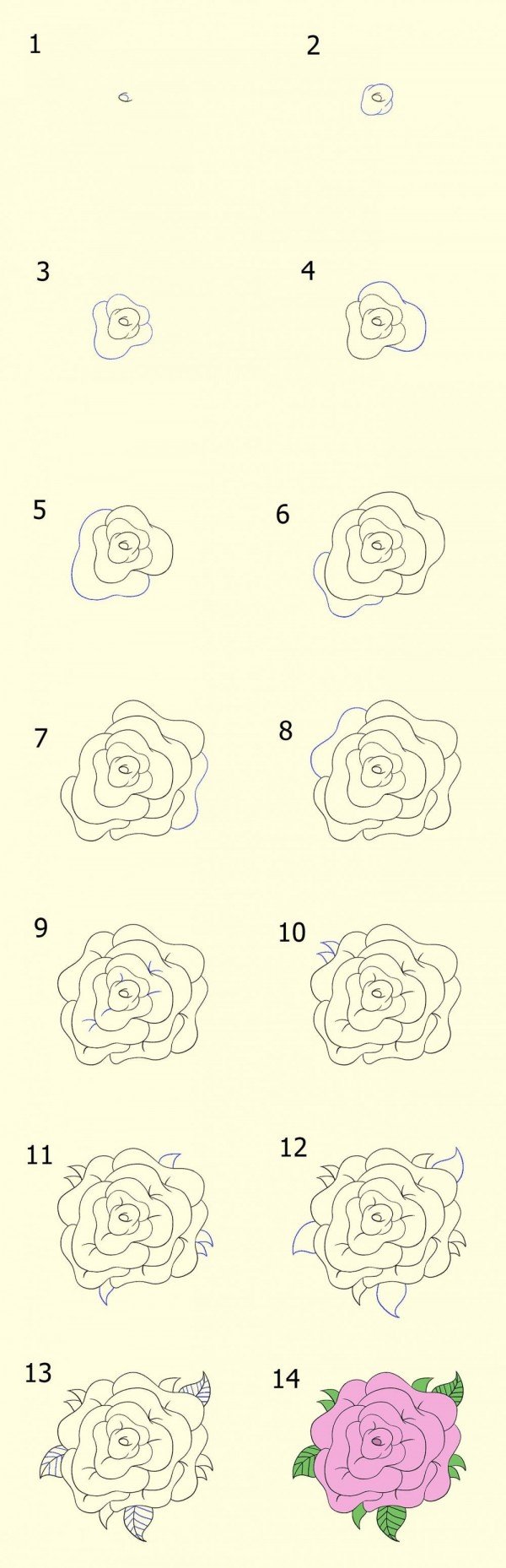 3 Cara Menggambar Sketsa Bunga Simple Dan Mudah Ditiru Kurio
