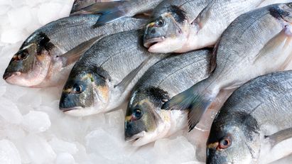 4 Cara Ampuh Hilangkan Bau Ikan di Freezer