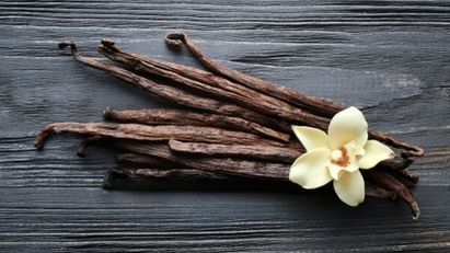 Vanilla, Kenali Lebih Jauh Jenis Dan Kegunaannya