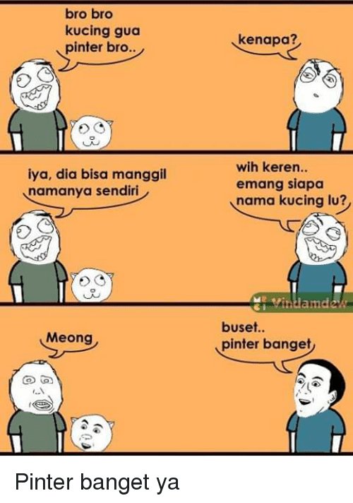 10 Meme Kocak Tanya Teman Ini Bisa Bikin Berantem Awas Emosi Humor