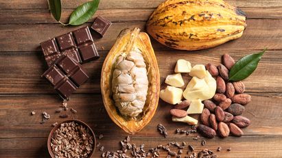 Cerita Cokelat di balik tanaman kakao yang mendunia