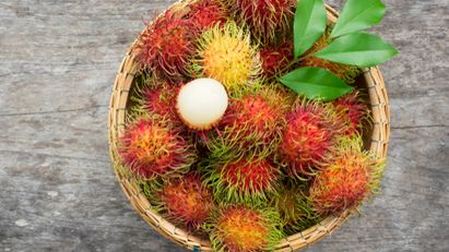 5 Jenis Rambutan Populer di Indonesia