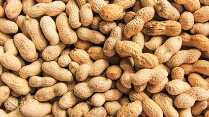 Apa Saja Kira-Kira Manfaat Mengonsumsi Kacang Tanah untuk Tubuh?