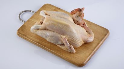 Perbedaan Daging Ayam Kampung dan Broiler Wajib ENDEUSiast Ketahui
